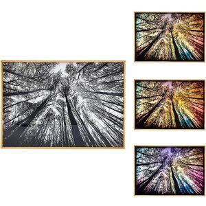 NWT BBOLDIN Light Up Painting Forest